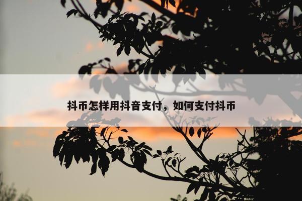 抖币怎样用抖音支付，如何支付抖币