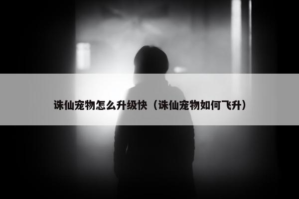 诛仙宠物怎么升级快（诛仙宠物如何飞升）