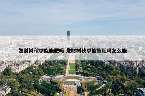 发财树秋季能施肥吗 发财树秋季能施肥吗怎么施