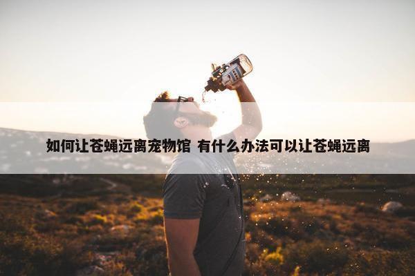 如何让苍蝇远离宠物馆 有什么办法可以让苍蝇远离