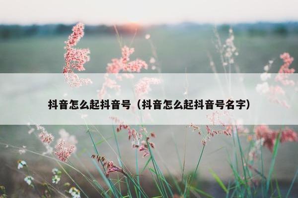 抖音怎么起抖音号（抖音怎么起抖音号名字）