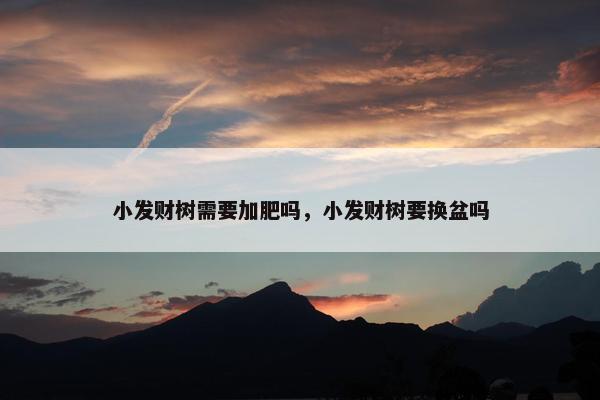 小发财树需要加肥吗，小发财树要换盆吗