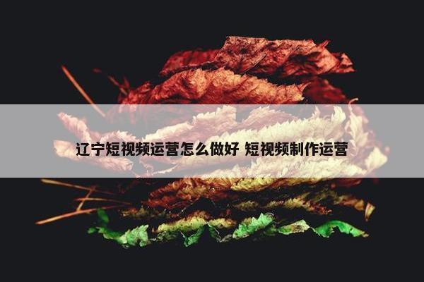 辽宁短视频运营怎么做好 短视频制作运营