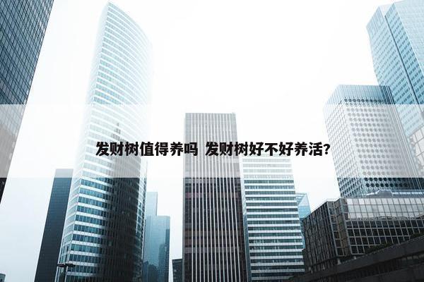 发财树值得养吗 发财树好不好养活?