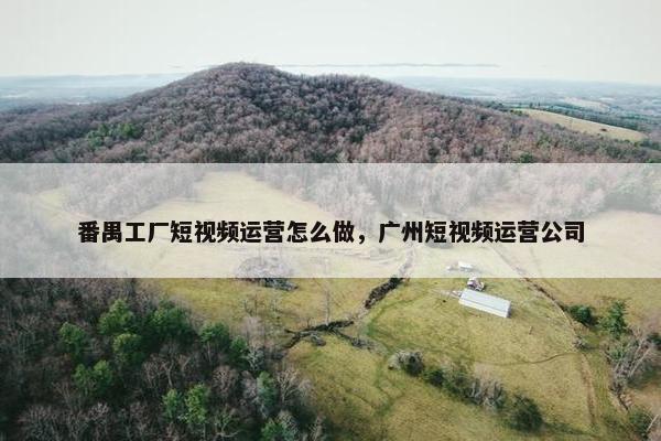 番禺工厂短视频运营怎么做，广州短视频运营公司